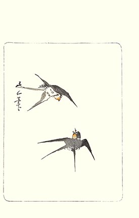 photo13.jpg
