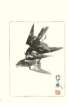 photo20_small.jpg