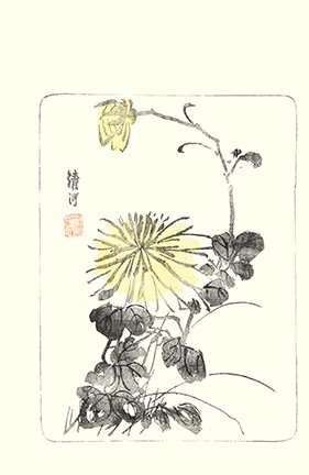 photo22.jpg