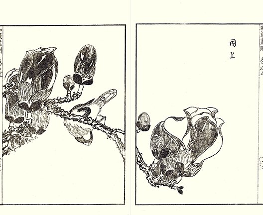 photo7.jpg