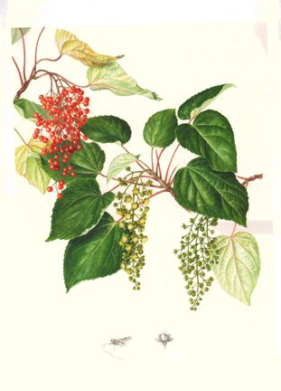photo.jpg