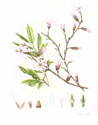 photo11.jpg