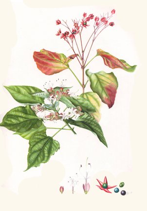 photo12.jpg