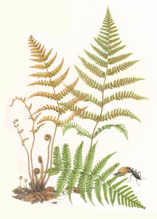 photo14.jpg