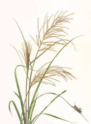 photo15.jpg