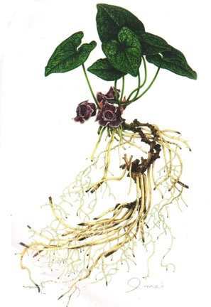 photo18.jpg
