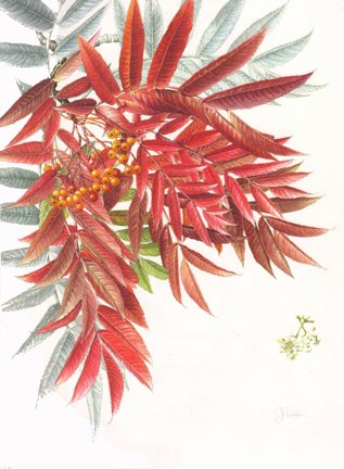 photo22.jpg