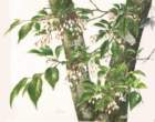 photo23_small.jpg
