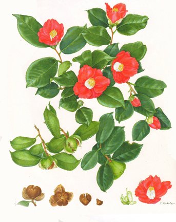photo24.jpg