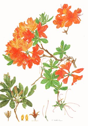photo26.jpg