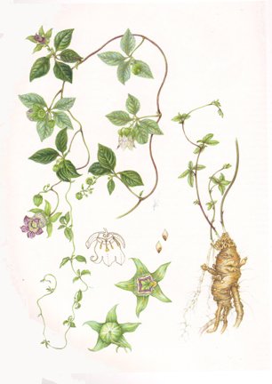 photo28.jpg