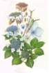 photo31_small.jpg