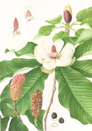 photo32.jpg