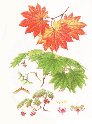 photo34.jpg