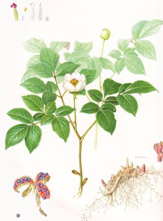photo36.jpg
