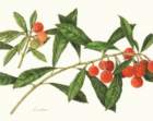 photo38_small.jpg