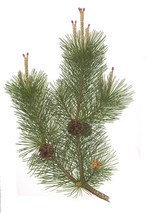 photo42.jpg