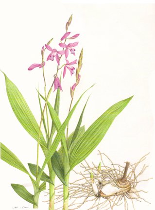 photo46.jpg