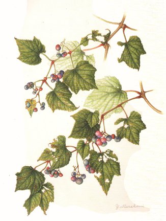 photo47.jpg