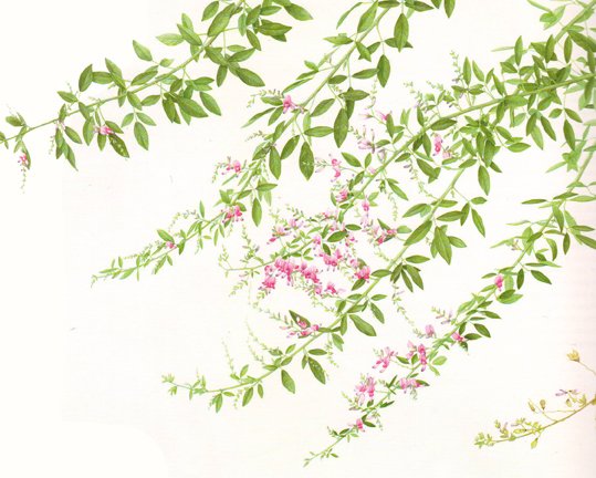 photo49.jpg