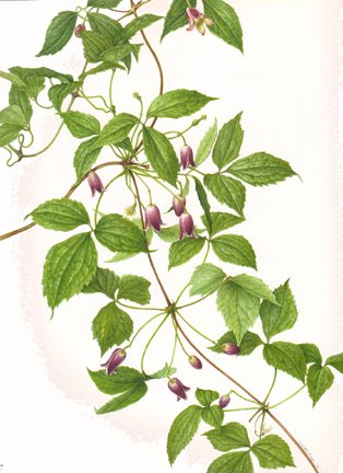 photo50.jpg