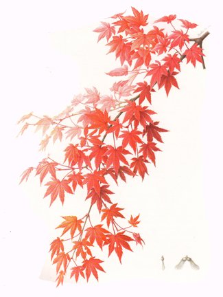 photo53.jpg