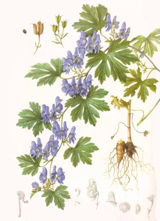 photo56.jpg