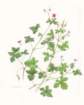 photo58_small.jpg