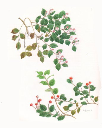 photo59.jpg