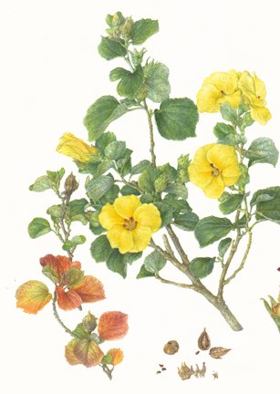 photo65.jpg