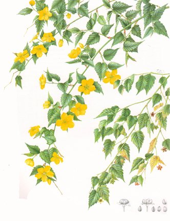 photo68.jpg