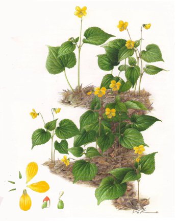 photo71.jpg