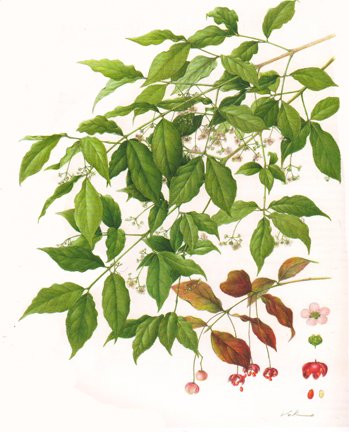 photo72.jpg