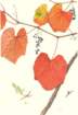 photo7_small.jpg