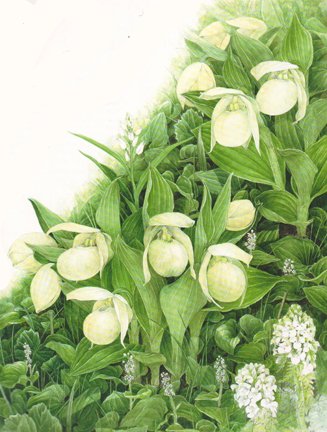 photo83.jpg