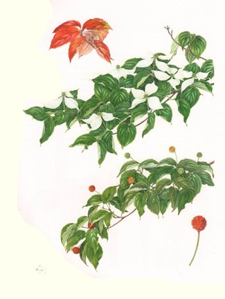 photo9.jpg