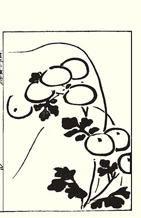 photo25.jpg