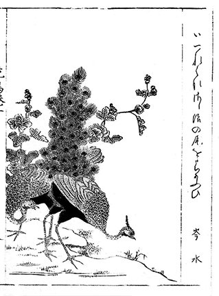 photo2.jpg