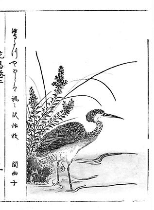 photo21.jpg
