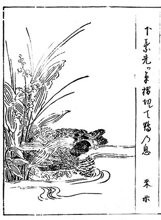 photo23.jpg