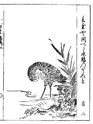 photo26.jpg