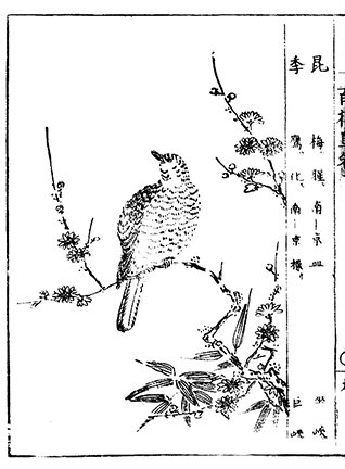 photo32.jpg