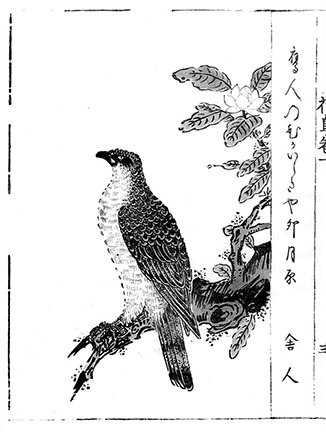photo4.jpg