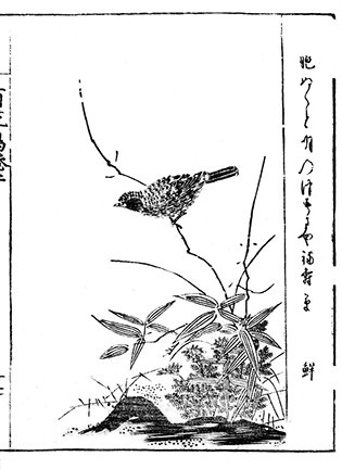 photo42.jpg