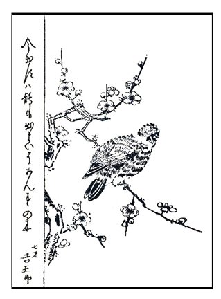 photo45.jpg