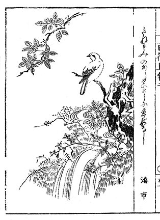 photo48.jpg
