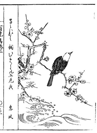 photo49.jpg