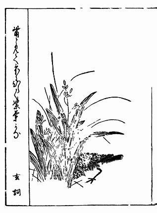 photo81.jpg