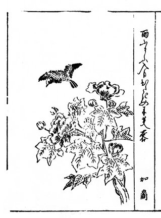 photo90.jpg