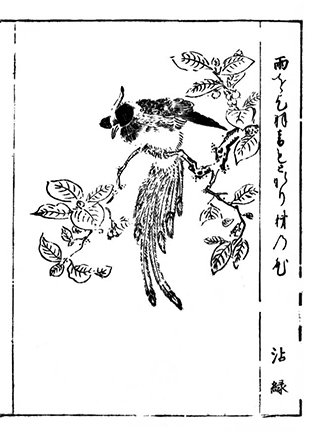 photo92.jpg